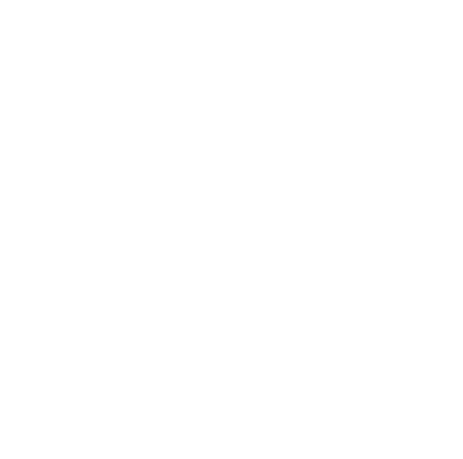 TSWM Logo